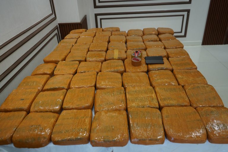 Polda Metro Jaya Ringkus Dua Bandar Ganja, 62,5 Kg Disita di Grogol