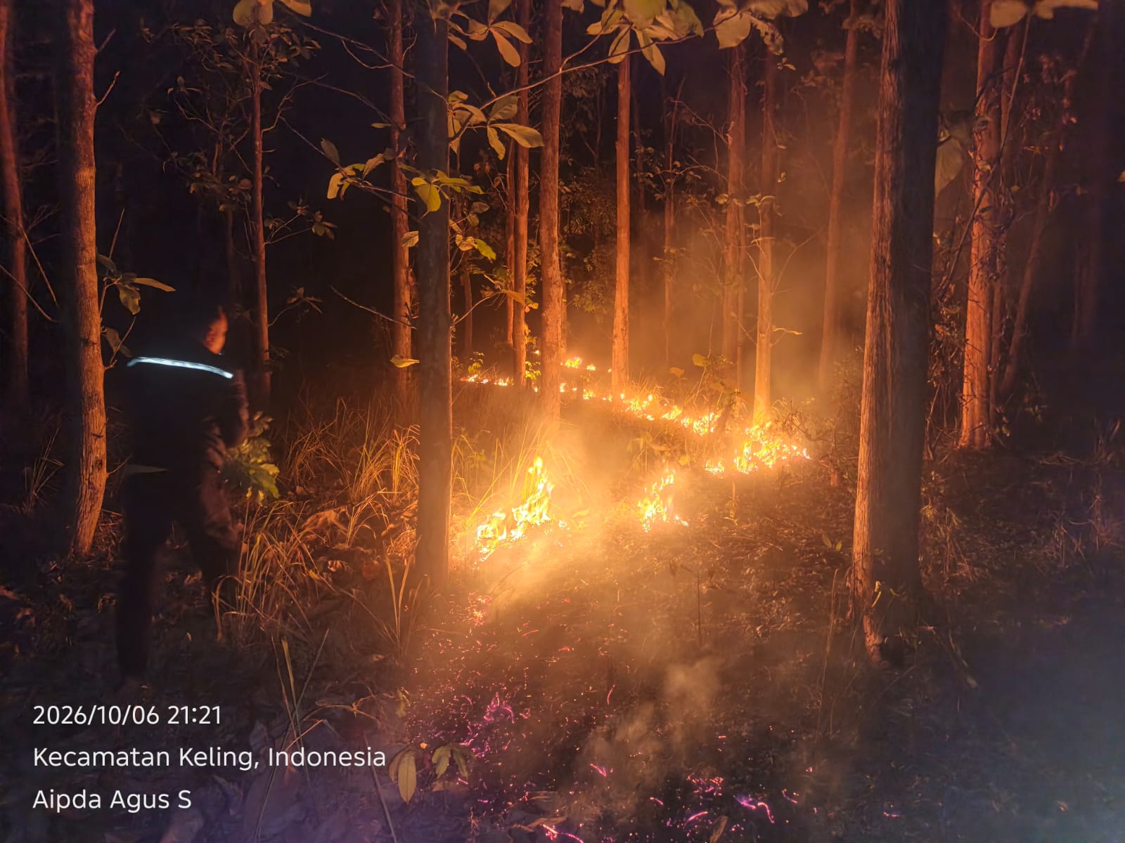 Api Melalap 3,5 Hektar Hutan Keling Jepara, Berhasil Dipadamkan Sebelum Meluas