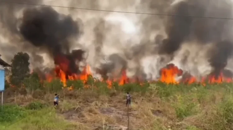 Kabut Asap Belum Hilang, Palangka Raya Perpanjang PJJ Kali Kedelapan